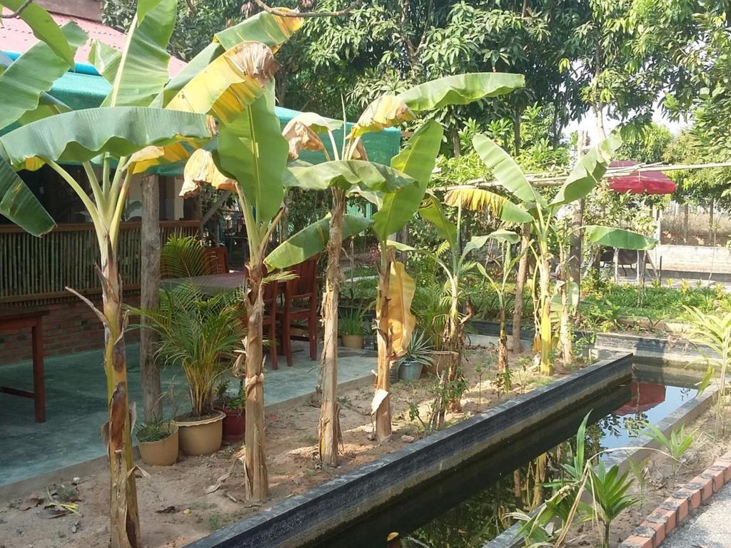 Homestay Villa Dani Siem Reap Exterior foto